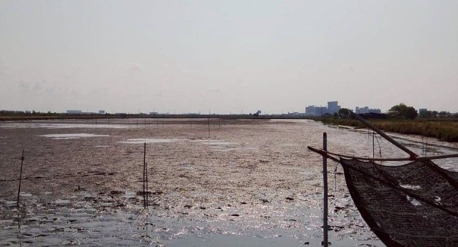 For sale land in Mueang Samut Sakhon, Samut Sakhon