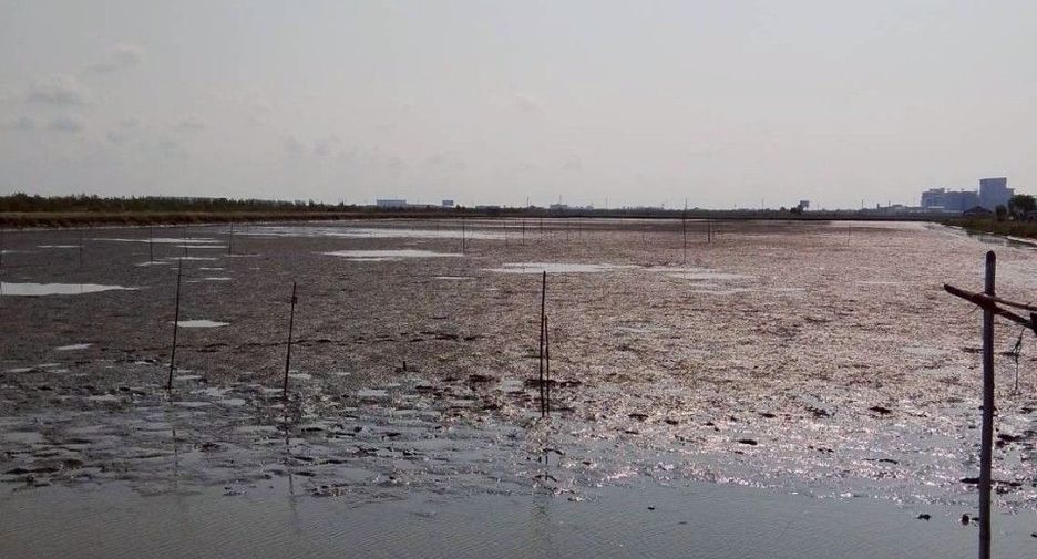 For sale land in Mueang Samut Sakhon, Samut Sakhon