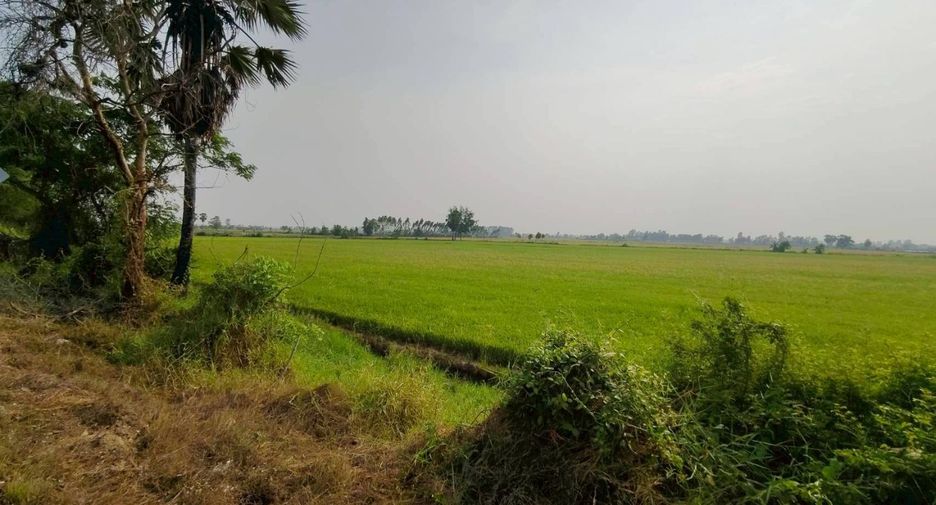 For sale land in U Thong, Suphan Buri