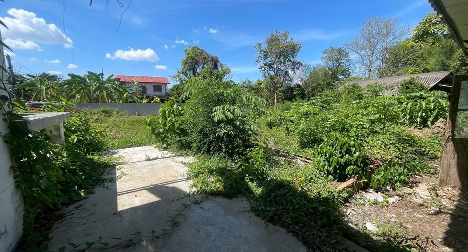 À vendre terrain à Saraphi, Chiang Mai