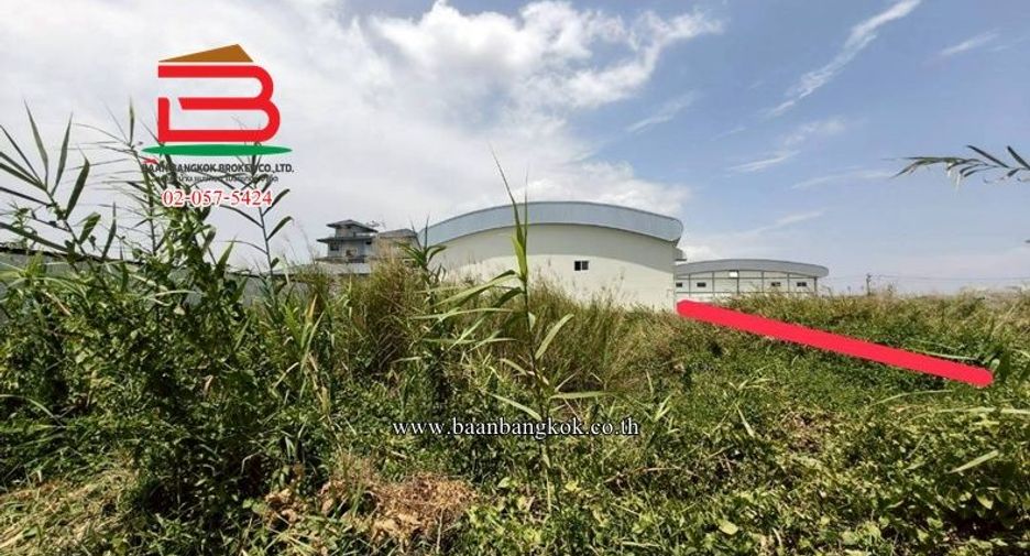 For sale land in Nong Khaem, Bangkok