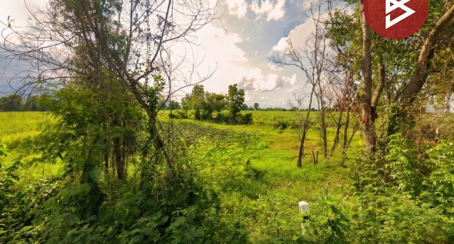 For sale land in Si Chomphu, Khon Kaen