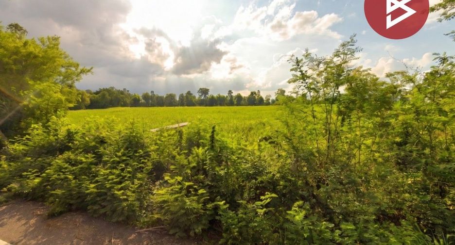 For sale land in Si Chomphu, Khon Kaen