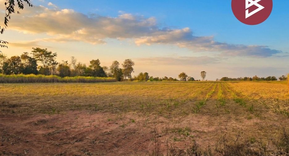 For sale land in Si Chomphu, Khon Kaen