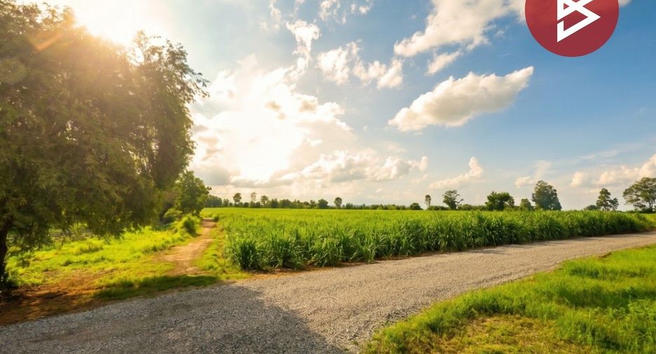 For sale land in Si Chomphu, Khon Kaen