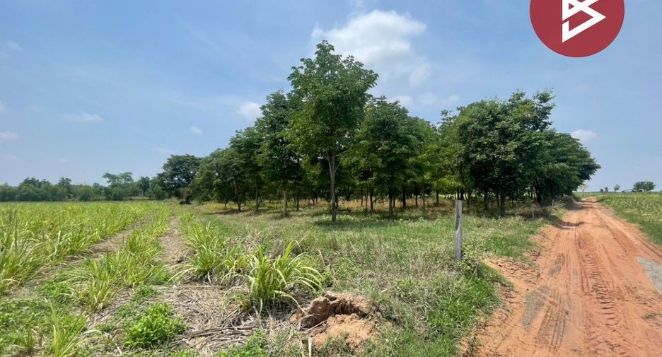 For sale land in Kut Rang, Maha Sarakham