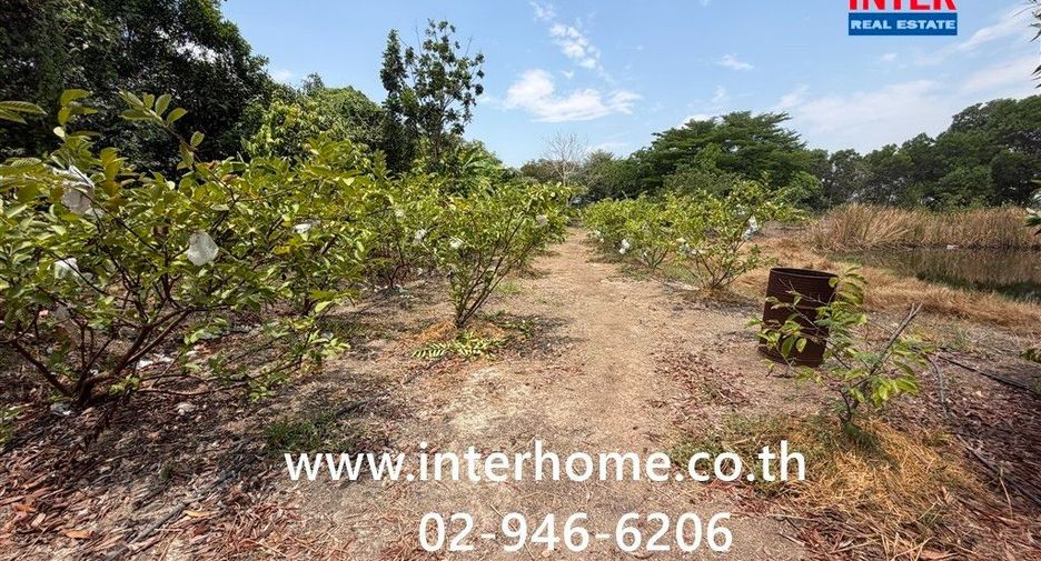 For rent land in Lat Bua Luang, Phra Nakhon Si Ayutthaya