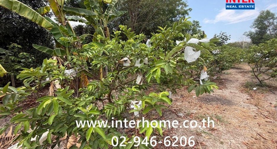 For rent land in Lat Bua Luang, Phra Nakhon Si Ayutthaya