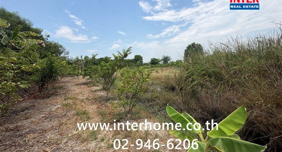 For rent land in Lat Bua Luang, Phra Nakhon Si Ayutthaya