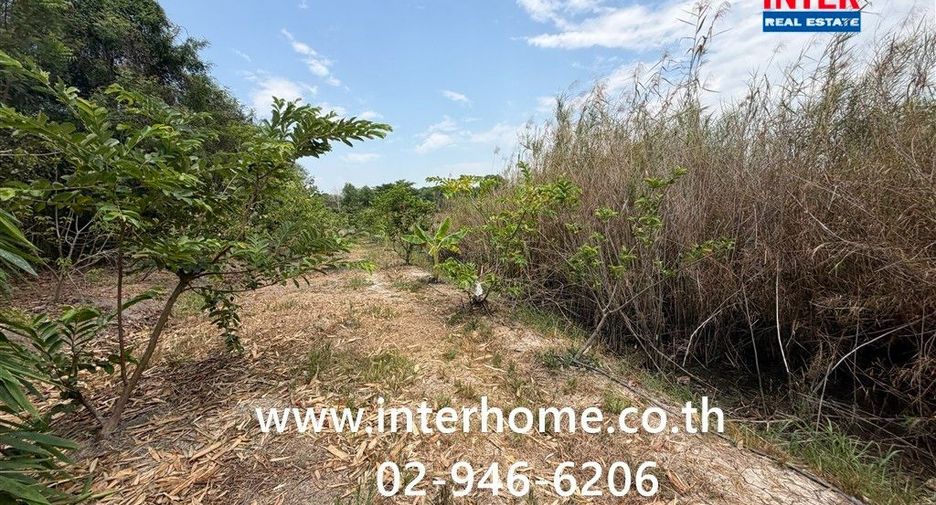 For rent land in Lat Bua Luang, Phra Nakhon Si Ayutthaya