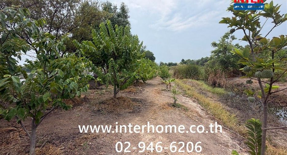 For rent land in Lat Bua Luang, Phra Nakhon Si Ayutthaya