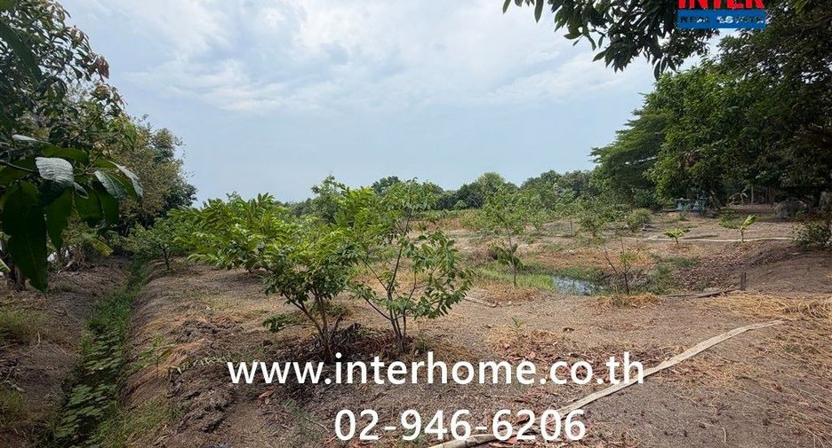 For rent land in Lat Bua Luang, Phra Nakhon Si Ayutthaya