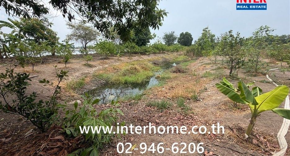 For rent land in Lat Bua Luang, Phra Nakhon Si Ayutthaya