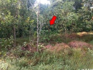出售 土地 在 Watthana Nakhon, Sa Kaeo