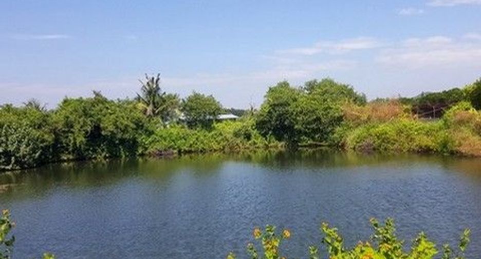 出售 土地 在 Khao Khitchakut, Chanthaburi