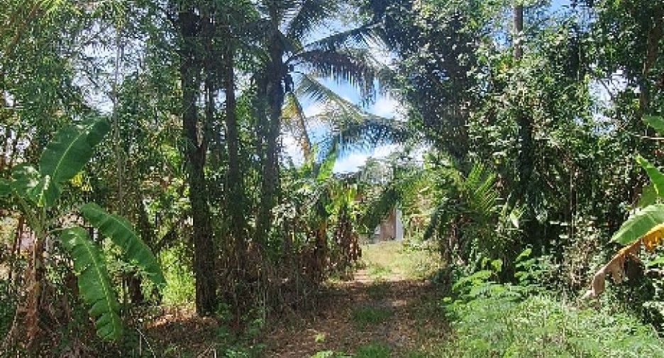 Продажа 2 спальни дом в Pak Phanang, Nakhon Si Thammarat