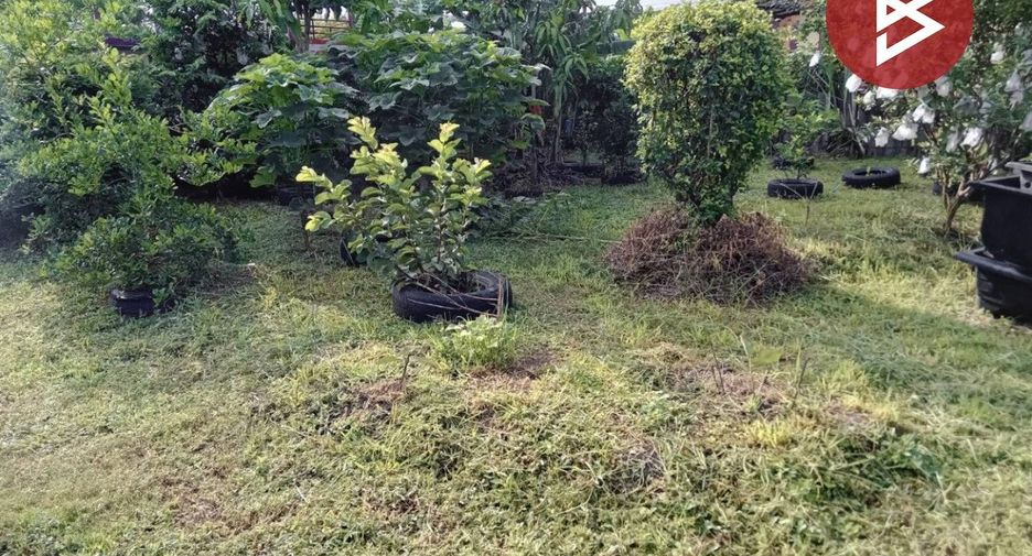 For sale land in Phachi, Phra Nakhon Si Ayutthaya