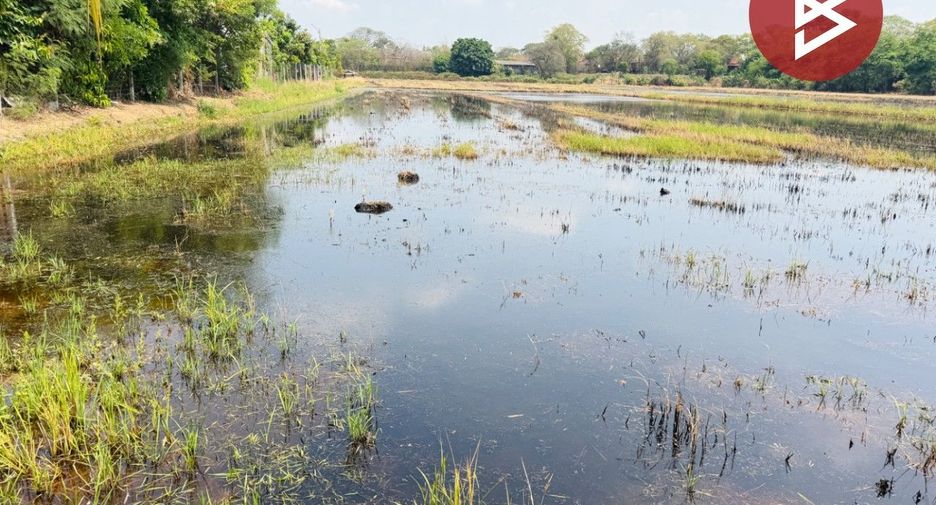 For sale land in Bang Pahan, Phra Nakhon Si Ayutthaya