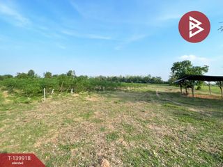 Продажа Участок в Ban Phai, Кхонкен