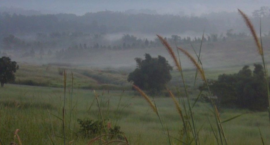 出售 土地 在 Khao Kho, Phetchabun