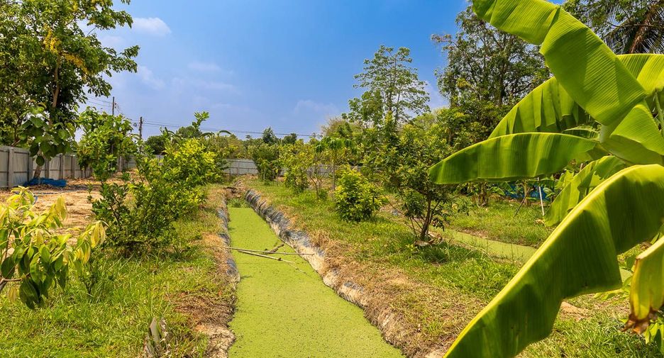 Casa en venta de 5 habitaciones en Khong Chiam, Ubon Ratchathani