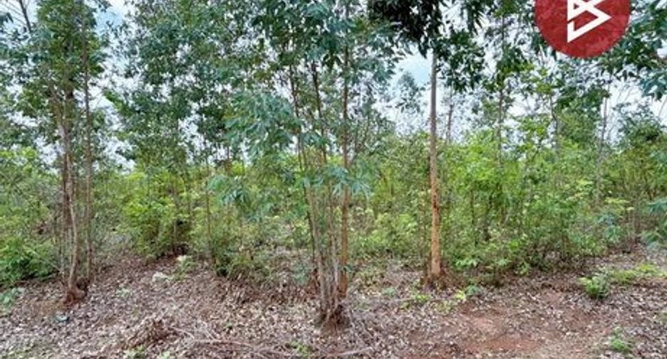For sale land in Pak Tho, Ratchaburi