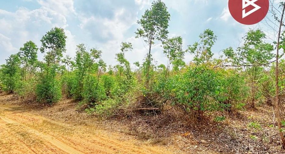 For sale land in Pak Tho, Ratchaburi
