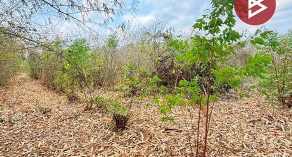 For sale land in Pak Tho, Ratchaburi