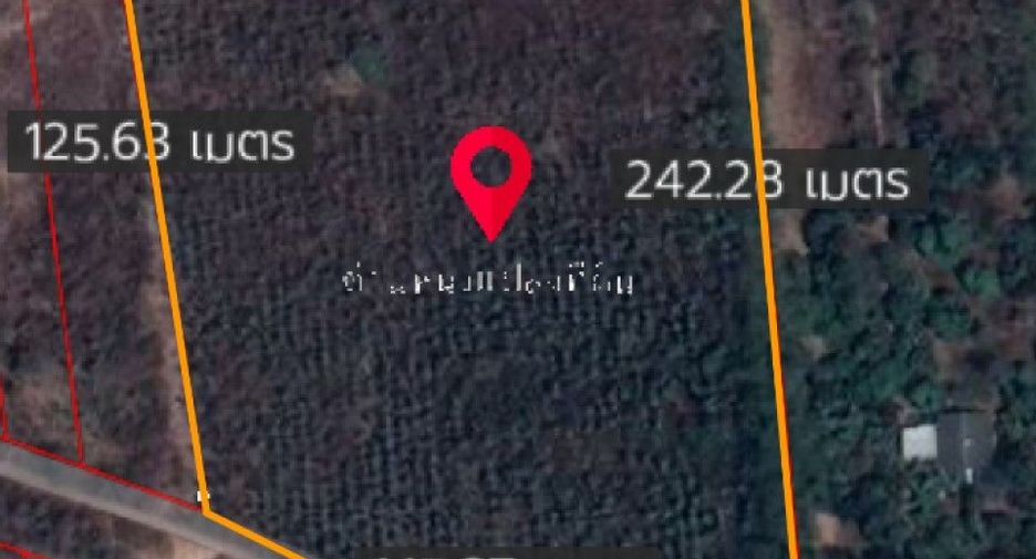 For sale land in Pak Tho, Ratchaburi