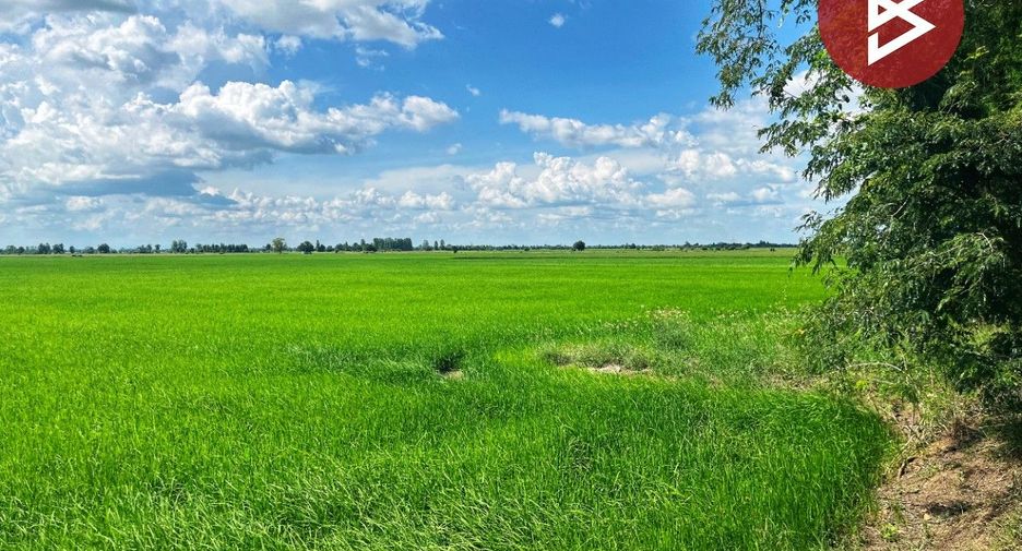 For sale land in Wat Sing, Chainat
