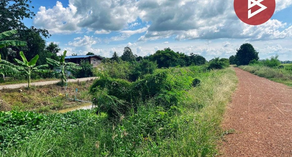 For sale land in Wat Sing, Chainat