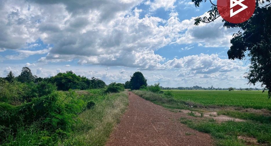 For sale land in Wat Sing, Chainat