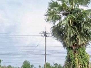 ขาย ที่ดิน ใน ท่ายาง, เพชรบุรี