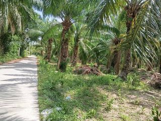 For sale land in Mueang Chon Buri, Chonburi