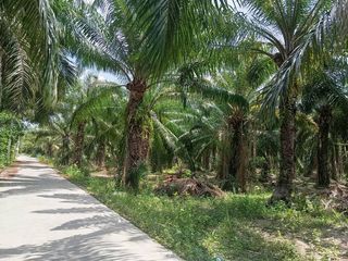 For sale land in Mueang Chon Buri, Chonburi