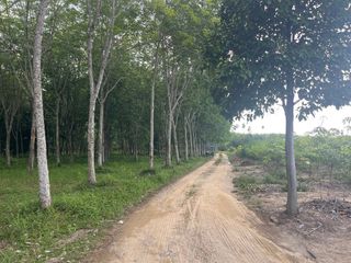 出售 土地 在 Takua Thung, Phangnga