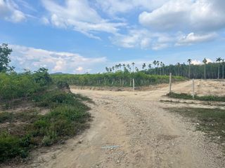 出售 土地 在 Takua Thung, Phangnga