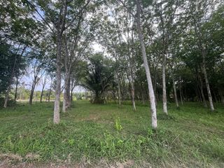 出售 土地 在 Takua Thung, Phangnga