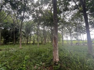 出售 土地 在 Takua Thung, Phangnga