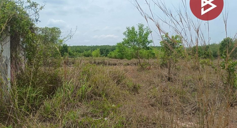 For sale land in Si Wilai, Bueng Kan