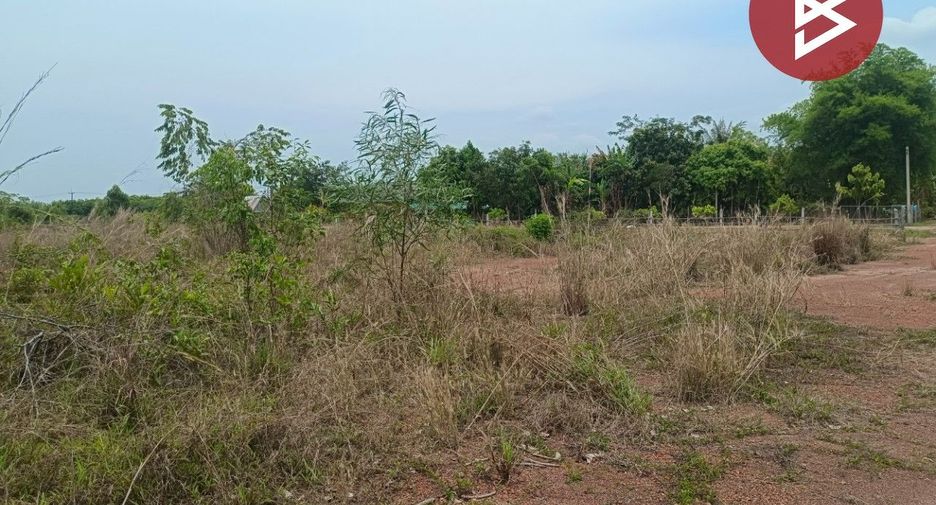 For sale land in Si Wilai, Bueng Kan
