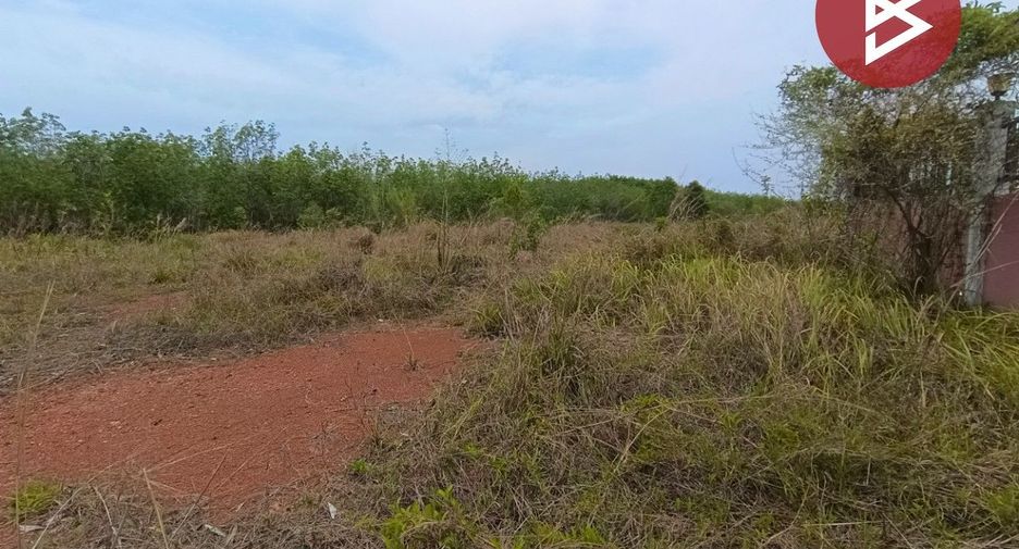 For sale land in Si Wilai, Bueng Kan