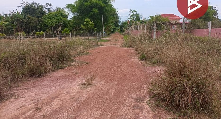For sale land in Si Wilai, Bueng Kan