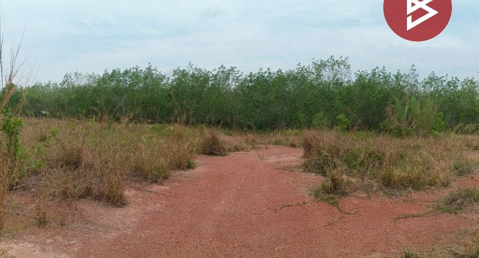 For sale land in Si Wilai, Bueng Kan