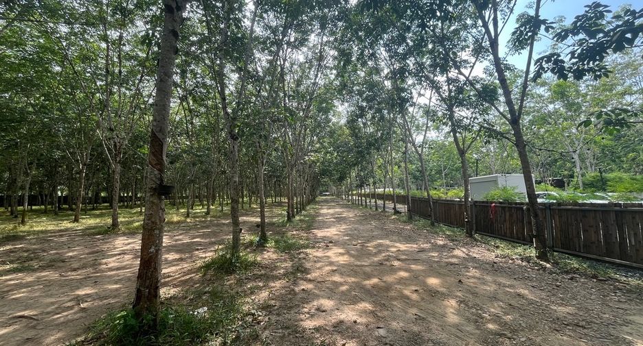 À vendre terrain à Thai Mueang, Phang Nga