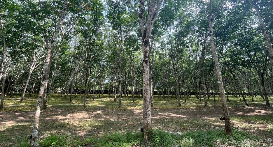 À vendre terrain à Thai Mueang, Phang Nga
