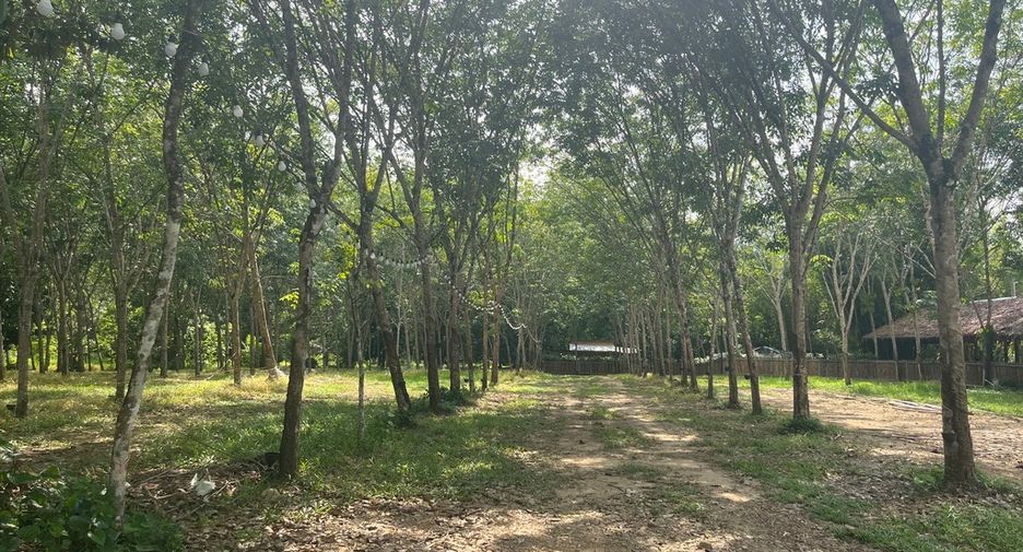 À vendre terrain à Thai Mueang, Phang Nga