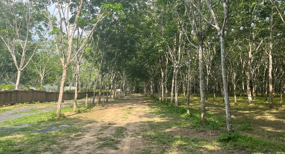 À vendre terrain à Thai Mueang, Phang Nga