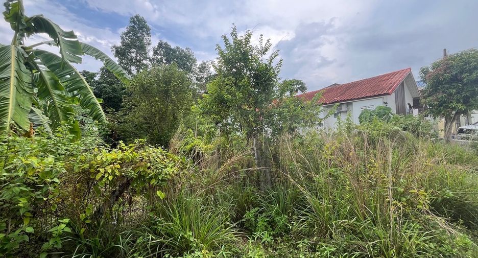 For sale land in Takua Thung, Phang Nga