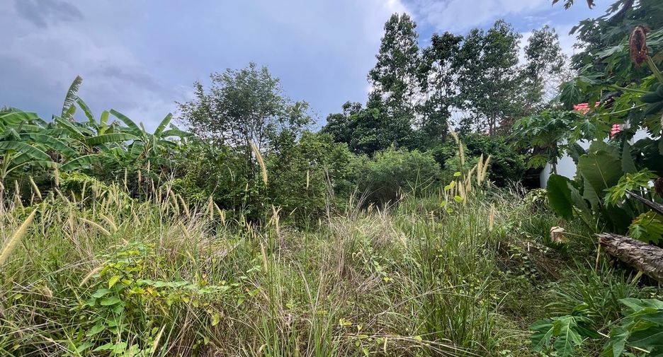 For sale land in Takua Thung, Phang Nga